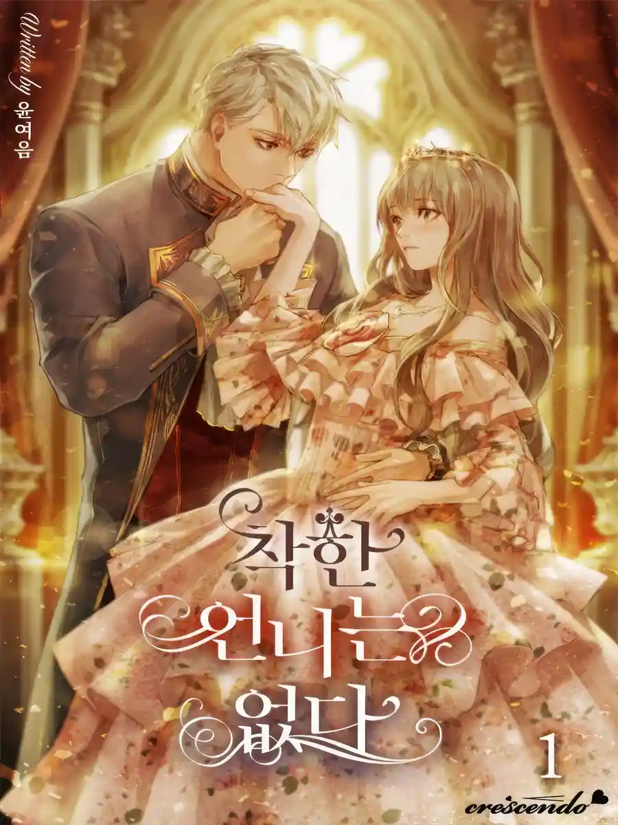 Read The Kind Older Sister Is No More Light Novel Online