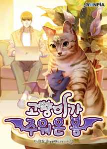 Read A Dragon That My Cat Brought Home Light Novel Online