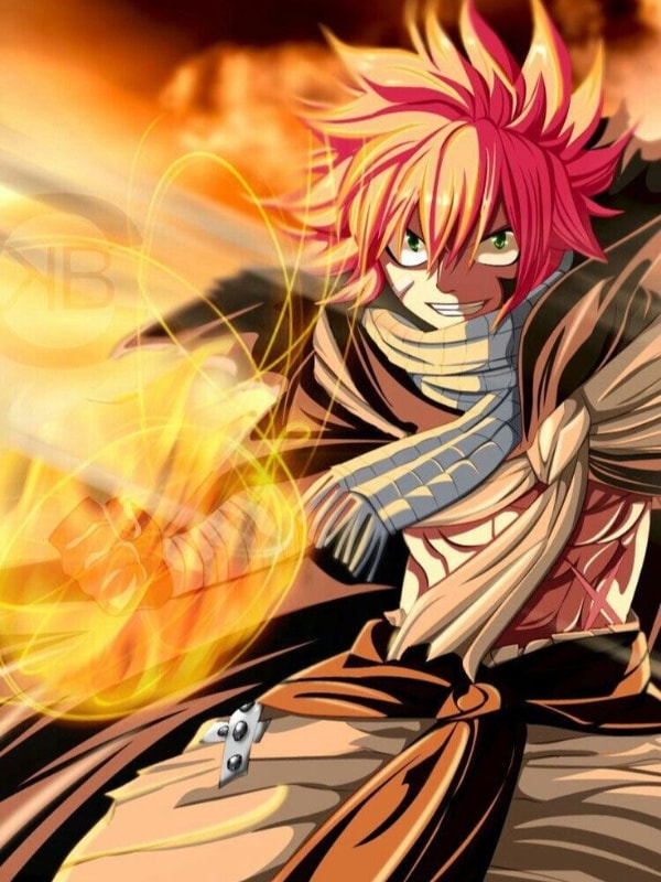 Read Black Clover: The Son of Fire Dragon Igneel Light Novel Online
