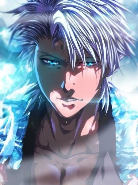 Read Bleach: The Strongest Shinigami, Hitsugaya Toshiro Light Novel Online