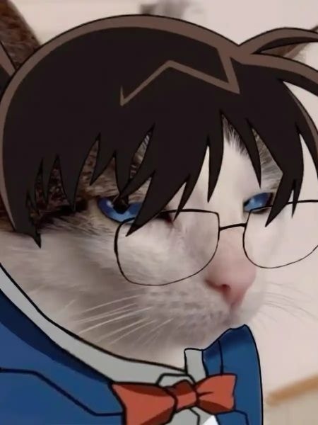 Read Conan: I'm Not a Psychopath Light Novel Online