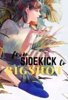 Read From Sidekick to Bigshot Light Novel Online