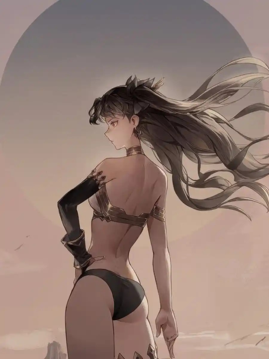 Read Game Developer : Starting with Fate series Light Novel Online