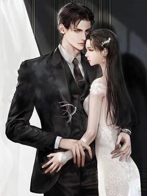 Read I Keep Witches While Others Keep Dragons Light Novel Online