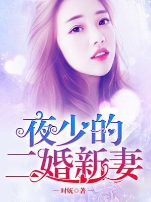 Read Master Ye's Second Marriage Light Novel Online