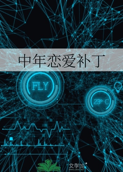 Read Middle-aged Love Patch Light Novel Online