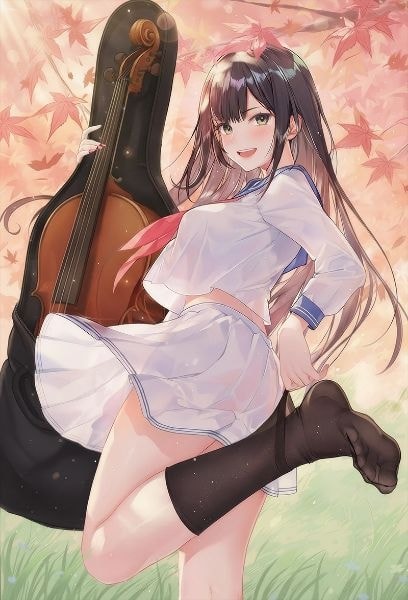 Read My Girlfriend Is a Cello Player Light Novel Online