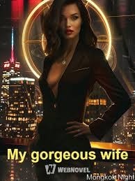Read My gorgeous wife Light Novel Online