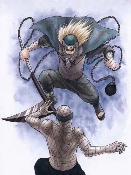 Read Naruto: I Possessed Hanzo of the Salamander Light Novel Online