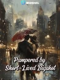 Read Pampered by Short-Lived Bigshot Light Novel Online