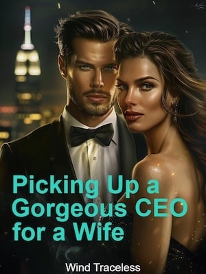Read Picking Up a Gorgeous CEO for a Wife Light Novel Online