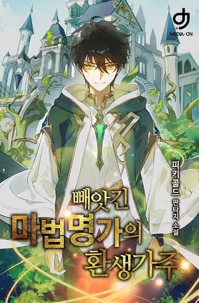Read Reborn as the Head of the Stolen Mage Family Light Novel Online