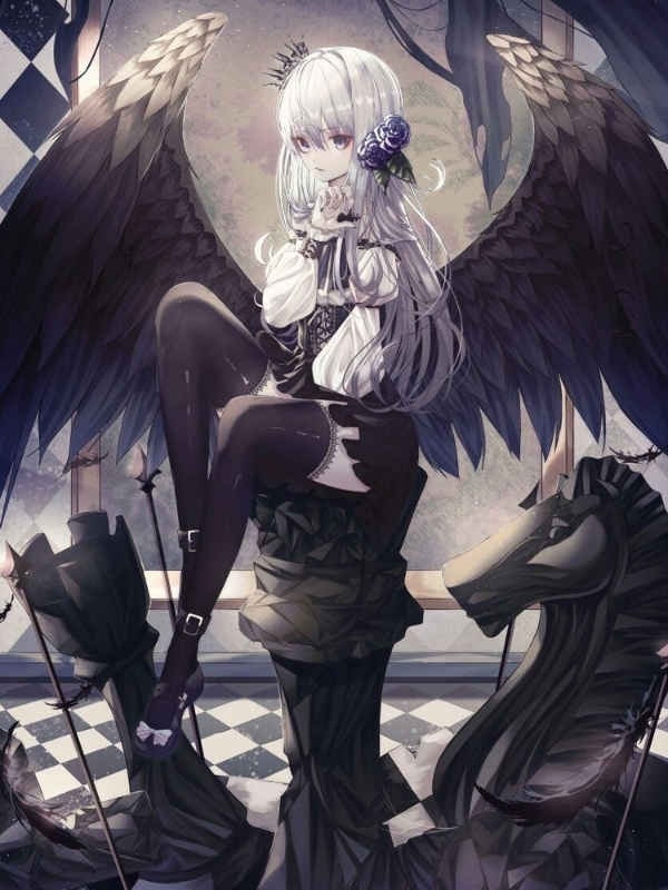 Read Shadow Author Light Novel Online