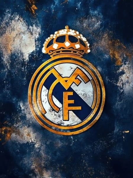 Read Starting as a Defensive Midfielder at Real Madrid Light Novel Online