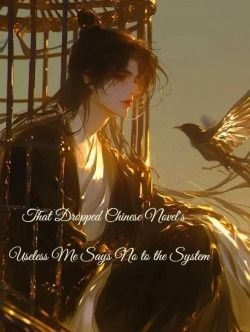 Read That Dropped Chinese Novel’s Useless Me Says No to the System Light Novel Online
