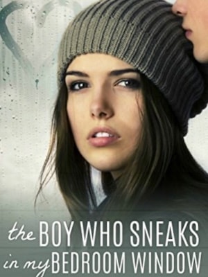 Read The boy who Sneaks in My Bedroom Window Light Novel Online