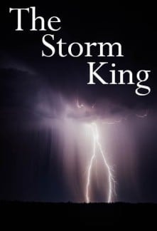 Read The Storm King Light Novel Online