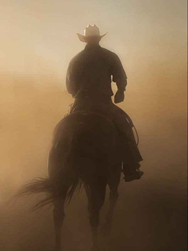 Read Yellowstone: Wind in the Smoke Light Novel Online